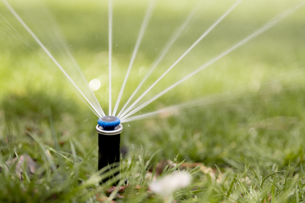 A close-up of a sprinkler head spraying green grass,—an example of our smart sprinkler system in Overland Park.