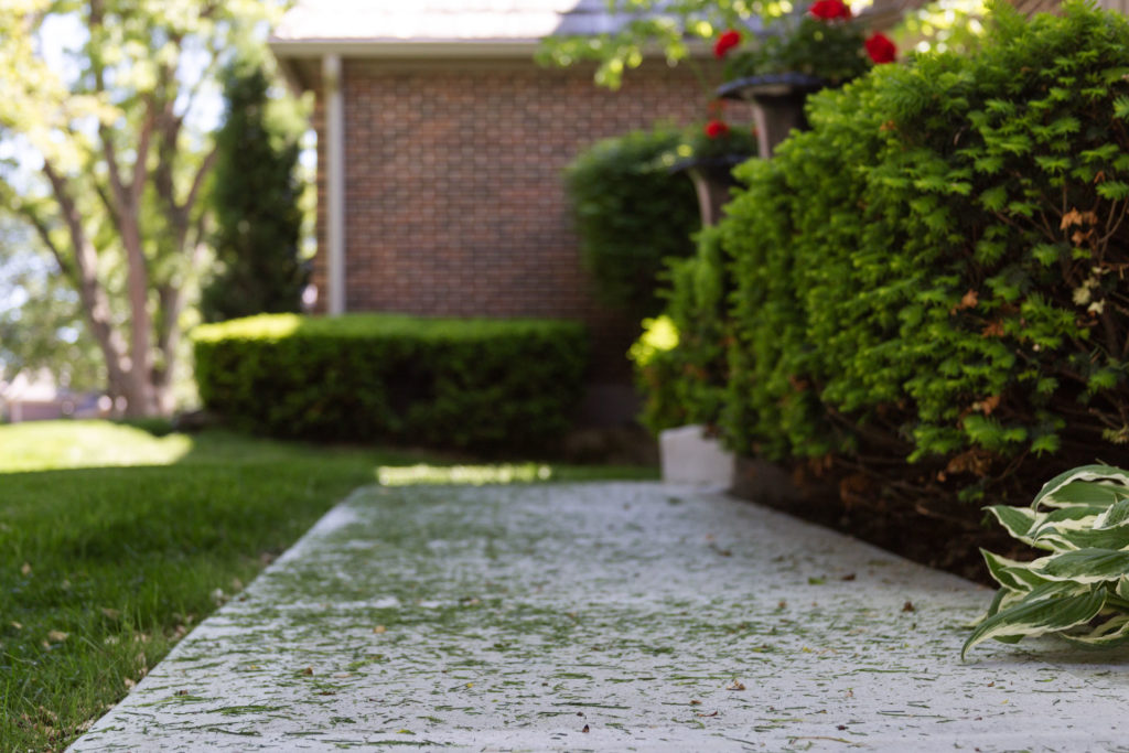 A trimmings-covered driveway