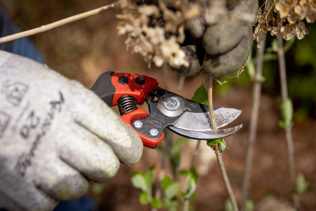A gloved member of ur team performs landscape maintenance in Overland Park