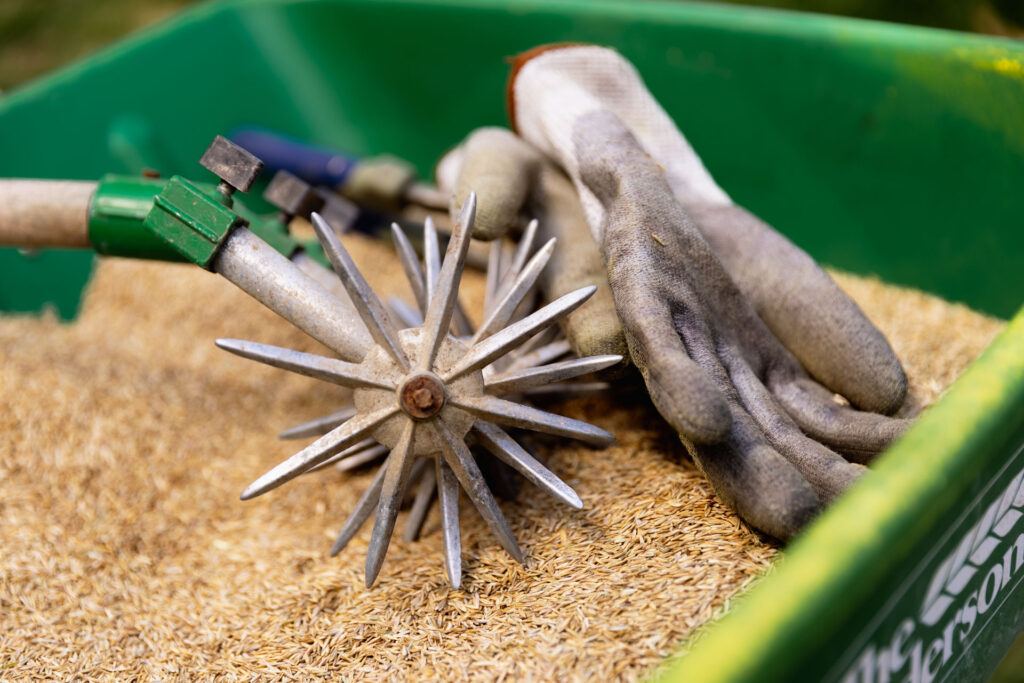 Gardening supplies in a wheelbarrow filled with seeds