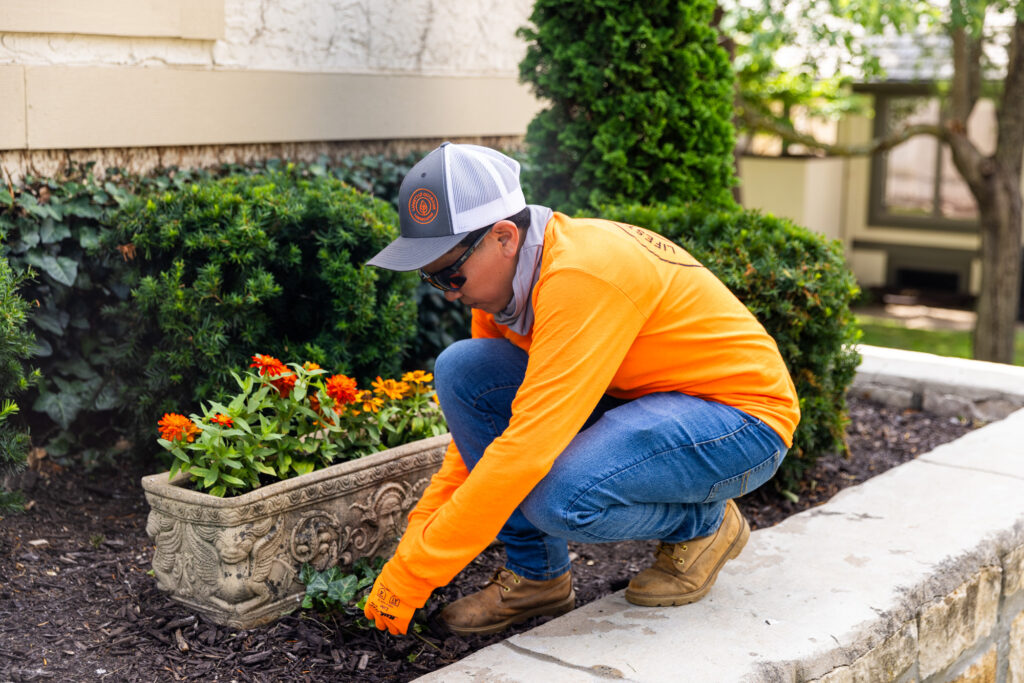 A man in a Lifestyle Outdoor uniform performs the finishing touches for HOA landscape design in Leawood.