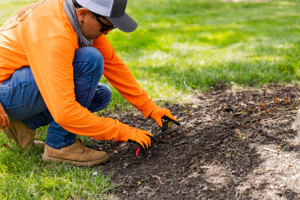 A member of our team kneels in the yard as a part of the process for HOA weed control in Leawood.